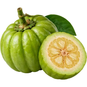 Garcinia cambogia